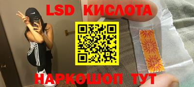 гашик Будённовск