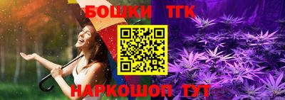 гашик Будённовск