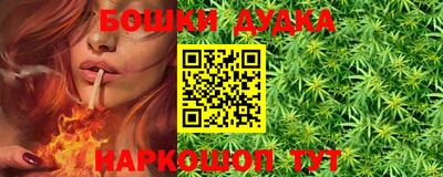 гашик Будённовск