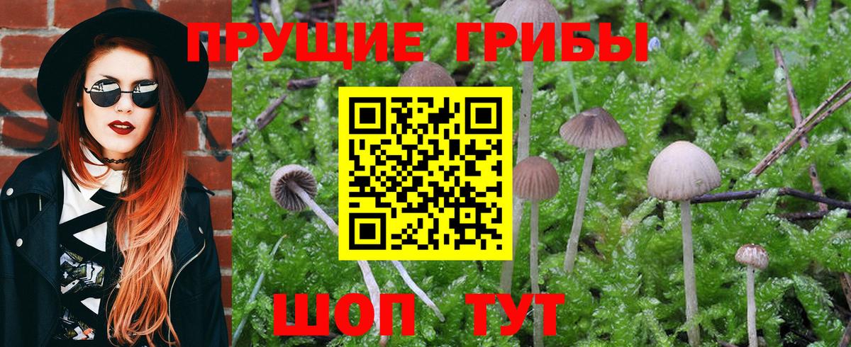 Псилоцибиновые грибы MAGIC MUSHROOMS Нововоронеж