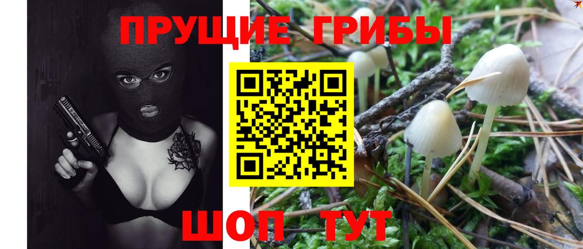 Псилоцибиновые грибы Cubensis  Вход с VPN  Нововоронеж 