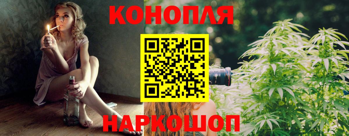 Бошки Шишки марихуана Нововоронеж